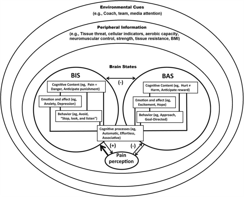 Clinical Journal of Sport Medicine