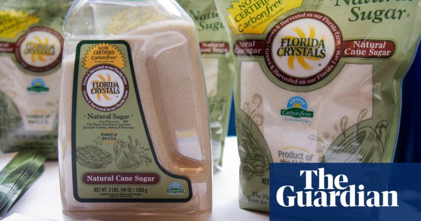 Klaim lingkungan Florida Sugar Company adalah 'Greenwashing', kata gugatan | Florida