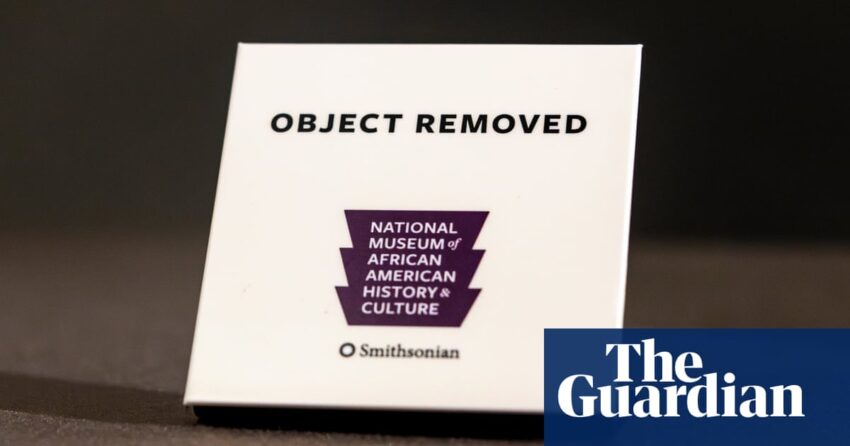 Aktivis ini 'membanjiri zona dengan sejarah hitam' untuk memprotes serangan Trump terhadap Dei | Berita AS