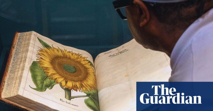 Makanan dan Kebebasan: Bagan Pameran Sejarah Radikal Berkebun di Inggris | Taman