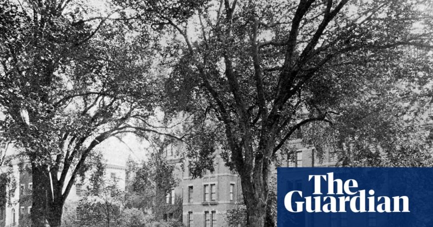 Harvard hired a researcher to uncover its ties to slavery. He says the results cost him his job: ‘We found too many slaves’ | Harvard University