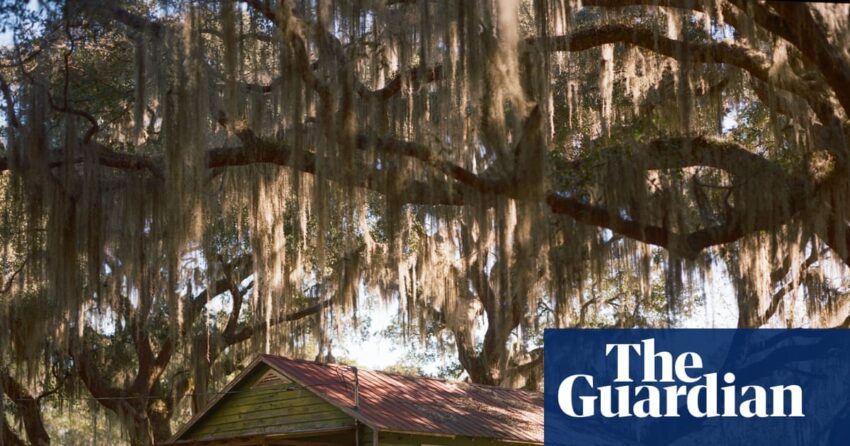 Sisi Mahkamah Agung Georgia dengan penduduk Gullah Geechee berjuang untuk melindungi tanah | Gullah Geechee